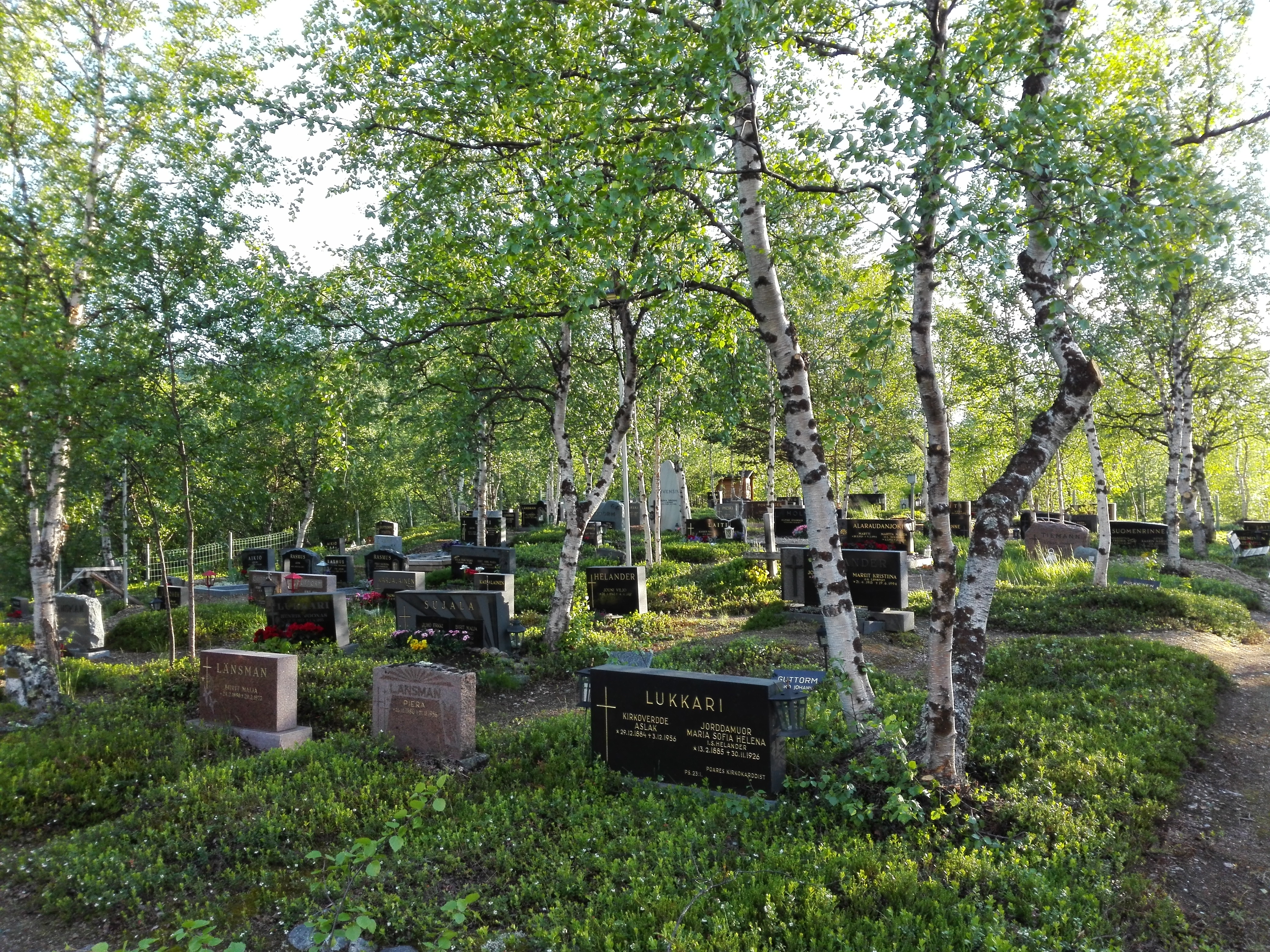 hautausmaa kesällä